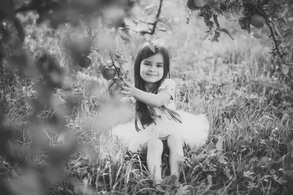 Meyve diyet için çocuk sağlığı, vitamin