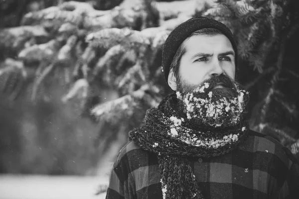 Uomo con barba nella foresta invernale con neve . — Foto Stock