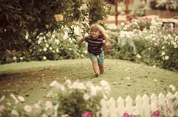 Criança ou menino pequeno feliz ao ar livre perto de cerca de madeira branca — Fotografia de Stock