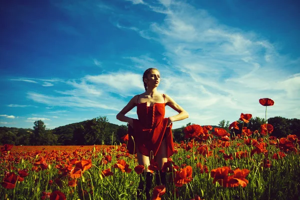 Mädchen im Blumenfeld aus Mohn — Stockfoto