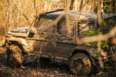 SUV yapraklarla kaplı yolda çamur kaplı