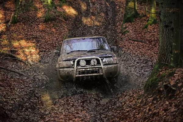 Sporco offroad auto con caduta foresta su sfondo — Foto Stock
