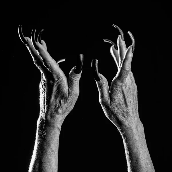 Mãos femininas velhas com unhas longas — Fotografia de Stock