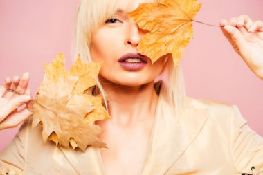Kasım arka plan. Sonbahar yaprakları Festivali. Dijital reklam. Mutlu gülümseyen kadın. Metin için yer. Arka plan yaprak. Sonbahar yaprakları. İzole yaprak.