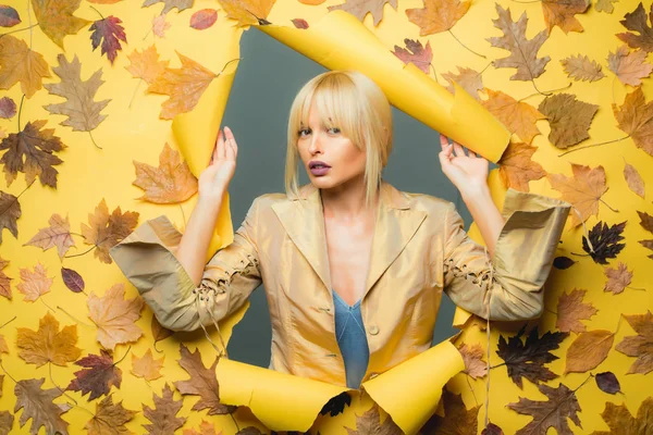 Sonbahar zaman moda Satılık. Renkli sonbahar ve kuru yaprak. Sonbahar eğilim ve vogue. Sonbahar yaprakları. Sonbahar mutlu insanlar ve sevinç. Kasım Merhaba.