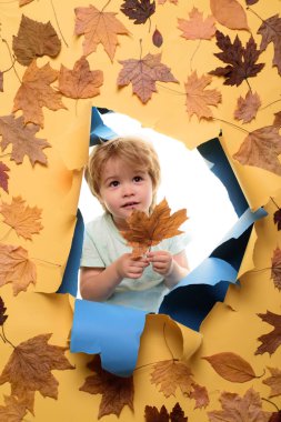 Sonbahar zaman moda Satılık. Yaprak sonbaharda kopya alanı. Yaprak Güz trend ve vogue. Reklam kavramı. Sonbahar kutlamak. Siyah Cuma alışveriş. Mutlu, Sevimli, zeki çocuk. Sonbahar Ağaç ve orman.