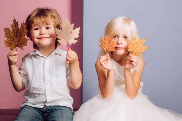 Festeggia l'autunno. Copia spazio per testo. Visita la mia pagina. Design autunnale. Bambino isolato. Foglia autunnale colorata e secca. Mockup di marca. Sfondo novembre . — Foto Stock