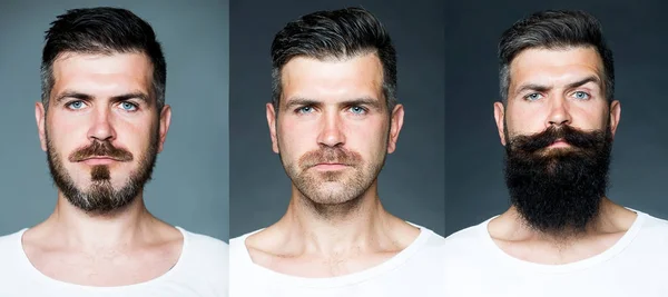 Een man met baard of een hipster. Lange baard. Haarstylist in haarstijl. Kapper ontwerp. Reclame en kapperszaak concept. Set van mans portret. — Stockfoto