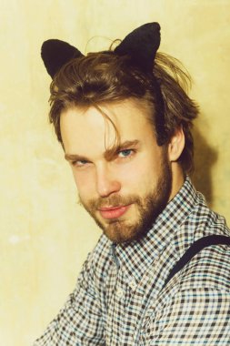 Maço siyah kedi kulak bandı kafasına ile poz