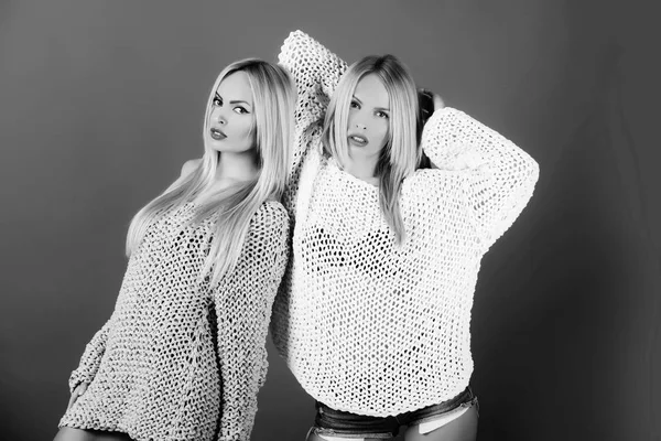 Tweeling mooie vrouwen met stijlvolle, lange haren en sexy truien — Stockfoto