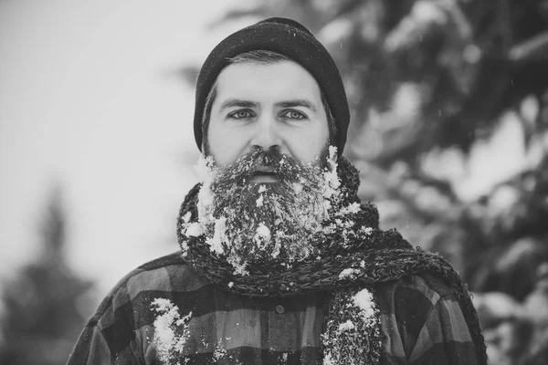 Kar kış ormanı içinde sakallı.