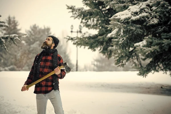 Yolculuk tutkusu, yürüyüş ve turistik.