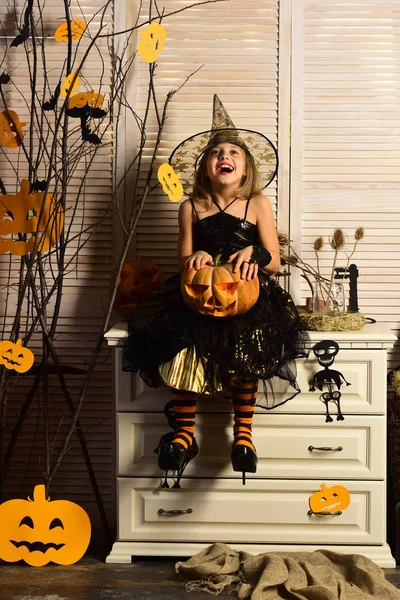 Kid in witch hat and costume holds jack o lantern