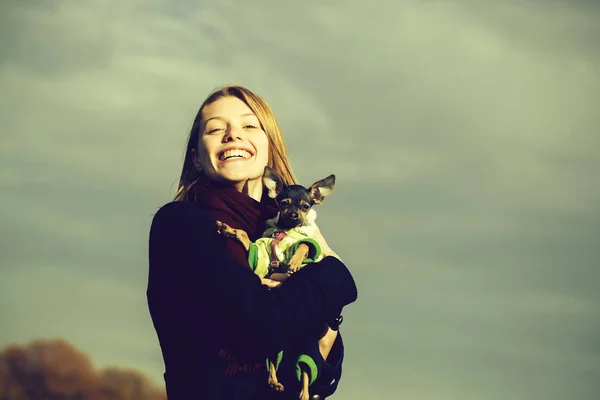 Ładna dziewczyna posiada toy terrier — Zdjęcie stockowe