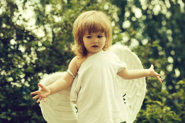 Small boy in angel wings — Stock Photo, Image