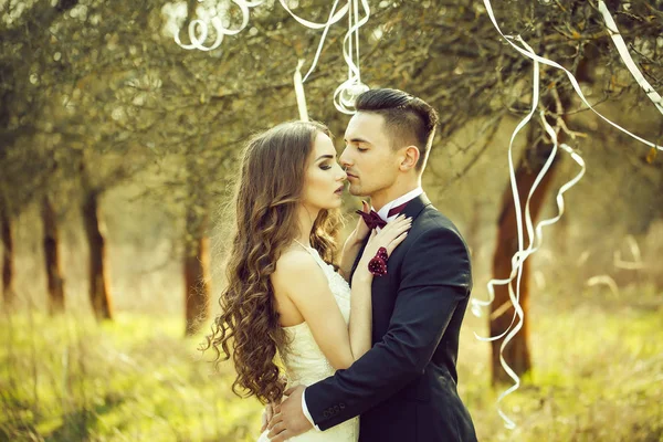 Düğün çifti ve ağaç şeritler — Stok fotoğraf