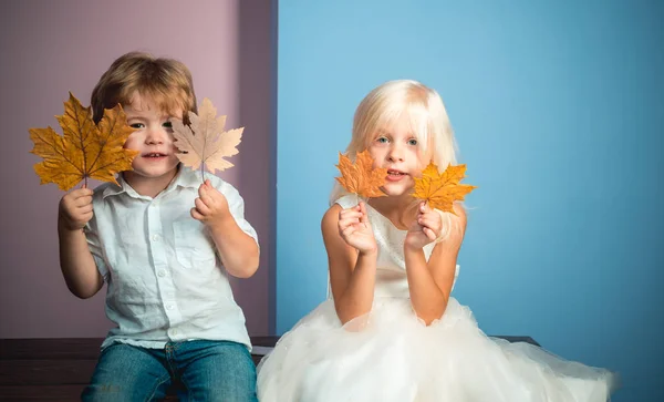 Hösten kopia spaceleaf falla trend och hösten vogue. Annons-konceptet. Leaf hösten är en vacker och färgstark tid på året. Guld bakgrunden. Barn som leker. Höstlöv. Plats för text. — Stockfoto