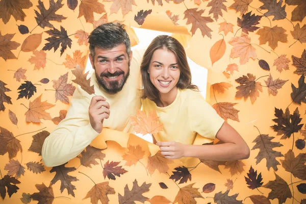 Hely, a szöveg. Hello szeptember. Boldog szerető pár. Promóciós termékek. November háttér. Őszi levelek háttér. Őszi levelek. Őszi lomb. Hely, a szöveg. — Stock Fotó