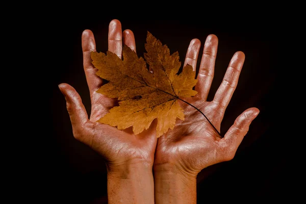 Hello Autumn and leaf fall Dreams. Colorful autumn and dry autumn leaf. Autumn leaves background. Black friday sales and shopping.