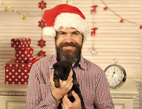 Köpek ile Noel Noel Baba sakallı adama — Stok fotoğraf