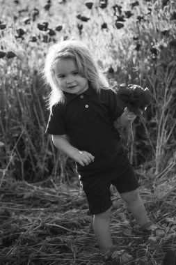 çocuk veya haşhaş tohumu alanındaki küçük çocuk