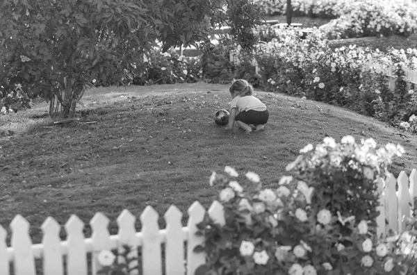 可爱的小宝贝男孩玩在绿色草地上的球 — 图库照片