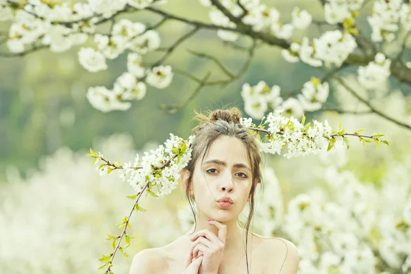 Frühlingsblume im Kirschgarten mit schönem jungen Mädchen — Stockfoto