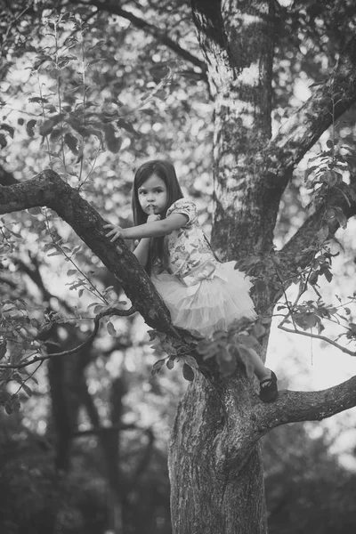 Enfant grimper branche d'arbre dans le jardin d'été, secret ou silence — Photo