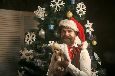 Parti kutlama ve Noel.