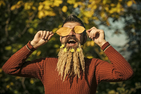 Season and autumn leaves with flower.