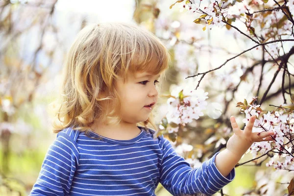 Malý chlapec s květy — Stock fotografie