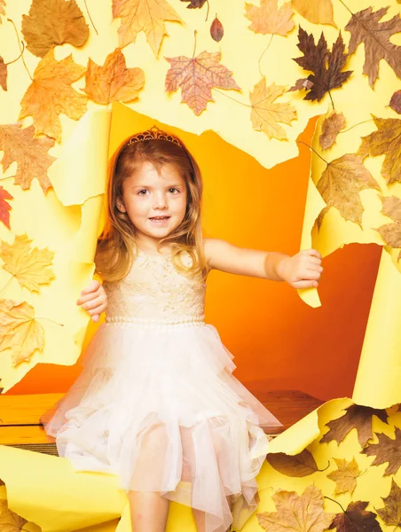 안녕하세요 9 월. 행복 한 아이 들. 골드 배경입니다. 잎이 단풍 격리. 텍스트에 대 한 장소입니다. 고립 된 자식입니다. 가 한 단풍 가 패션 판매 시간. — 스톡 사진
