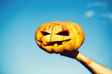 Geleneksel Cadılar Bayramı Balkabağı