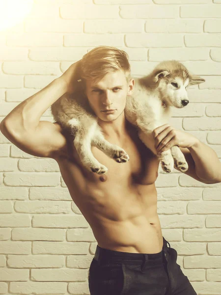 근육 질의 남자와 섹시 한 몸매, 거친 개, 강아지 애완 동물 — 스톡 사진