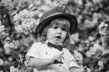 Yakışıklı Pembe çiçek