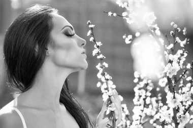 Çiçek açan kayısı kadınla