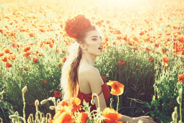 Mulher bonita ou menina no campo da semente de papoula — Fotografia de Stock