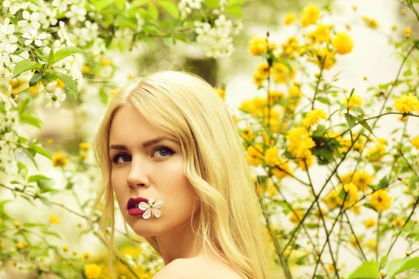 Niña mantenga flor de cerezo en el árbol en flor, jardín de primavera — Foto de Stock