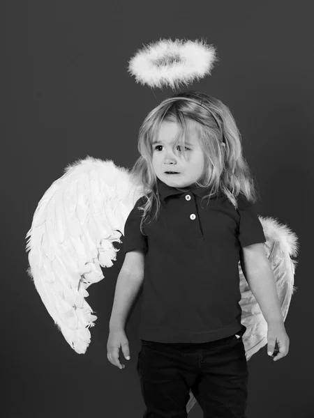 Kis angyal fiú sír, fehér-tollas szárnyak és a halo — Stock Fotó