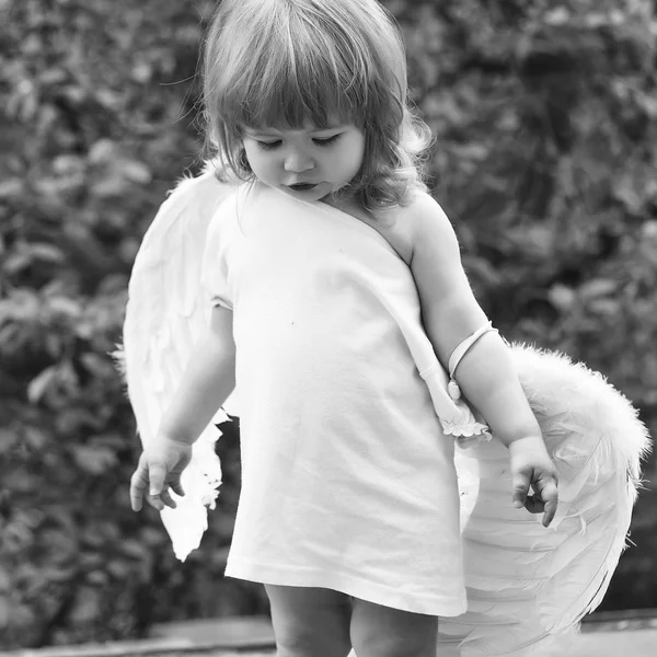 Niño pequeño en alas de ángel — Foto de Stock