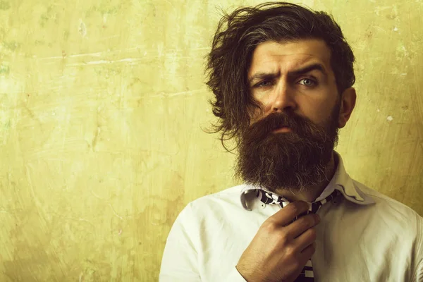 Hipster hombre con barba larga en camisa y corbata — Foto de Stock