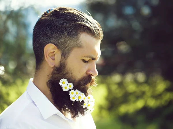 Homem bonito com flores na barba — Fotografia de Stock