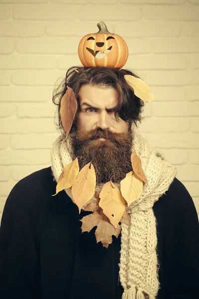 Halloween hipster fruncir el ceño con hojas amarillas en el pelo de la barba — Foto de Stock