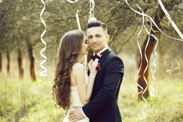 Hochzeitspaar und Schleifen am Baum — Stockfoto