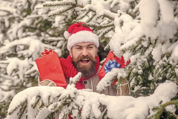 Sakallı Noel mutlu adam tutun hediye kutusu. — Stok fotoğraf