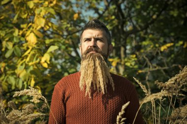 Hipster veya sonbahar doğa açık sakallı adam.