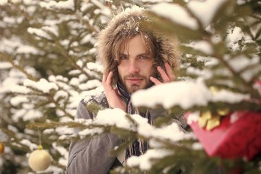 Maço kar ormandaki sakallı yüzü ile