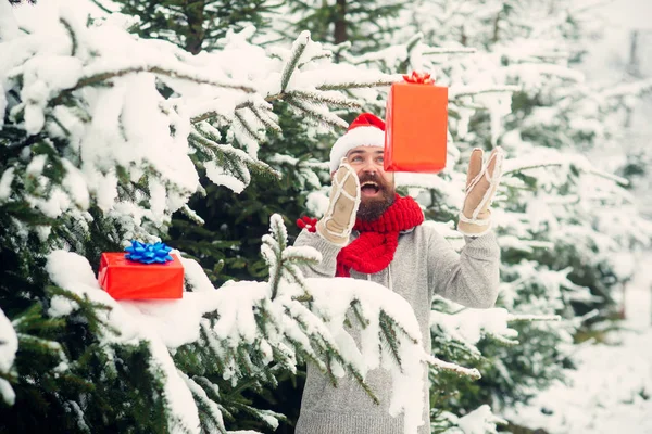 Σάντα hipster στο χριστουγεννιάτικο δέντρο στο δάσος του χειμώνα χιονισμένο. — Φωτογραφία Αρχείου