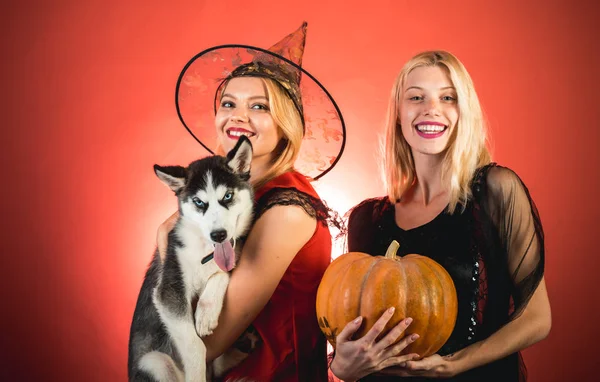 Frightened friends with dog at a Halloween party. Happy people. Having fun. Best friends girls celebrates Halloween. Happy brightful positive moments of two stylish girls.