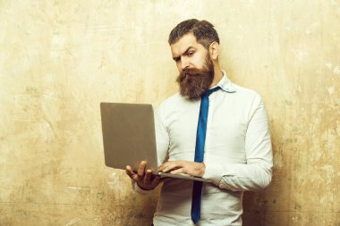 sakallı adam veya hipster uzun sakal çalışma üstünde laptop ile